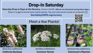 Drop-in-Saturday-at Nursery